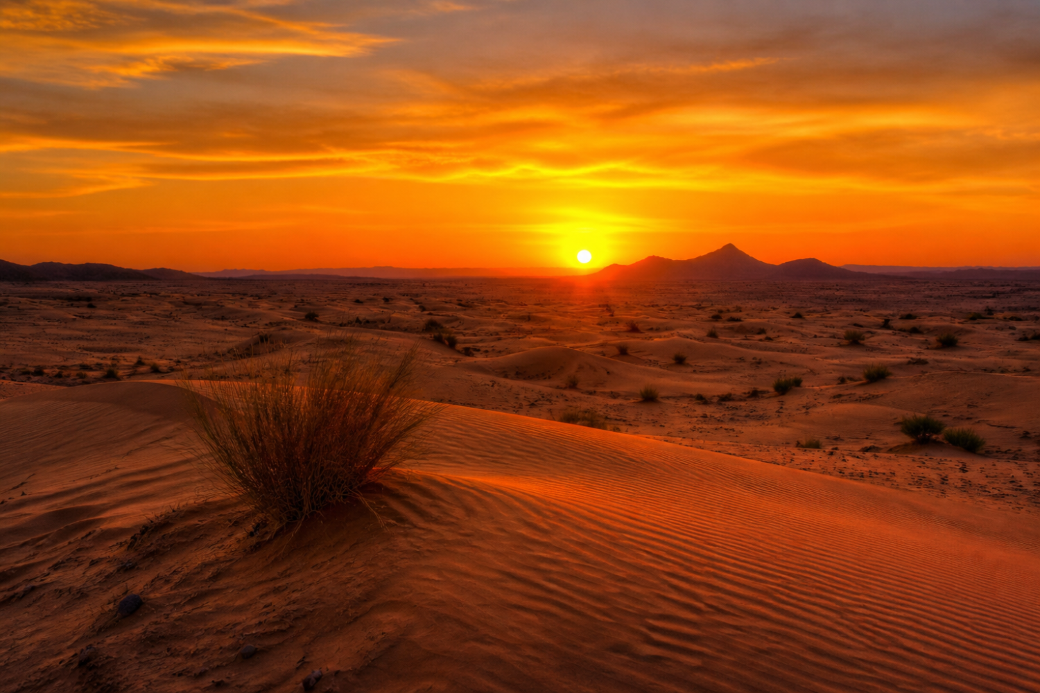 9 Days Tour from Casablanca