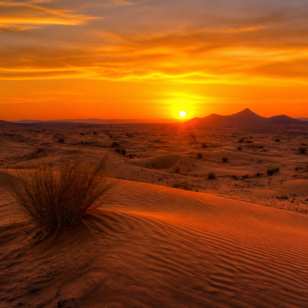 9 Days Tour from Casablanca