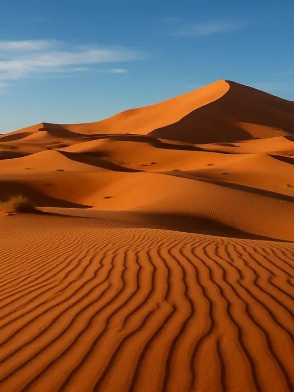 8 Days tour from Casablanca