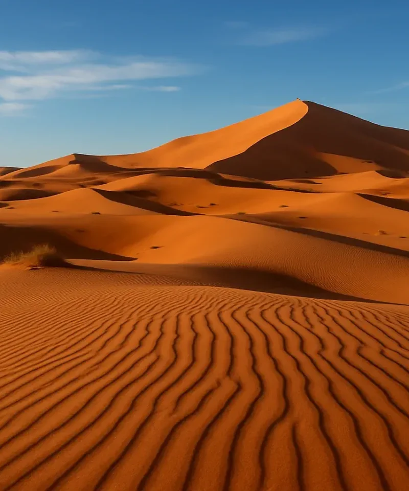8 Days tour from Casablanca
