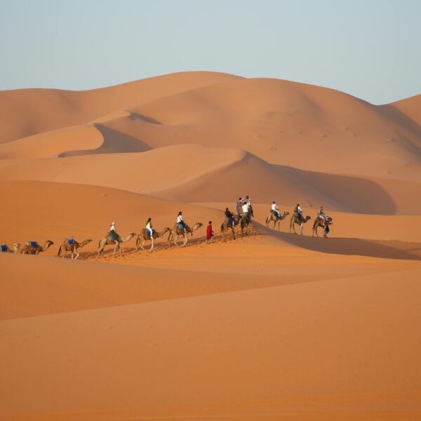 8 Days trip from Tanger to Fez and Sahara