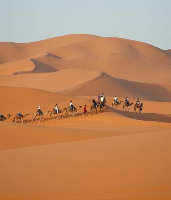 8 Days trip from Tanger to Fez and Sahara