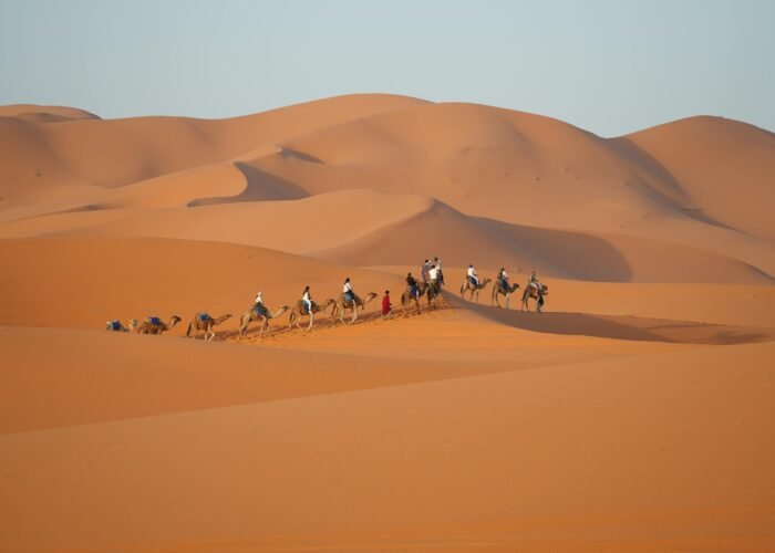 8 Days trip from Tanger to Fez and Sahara