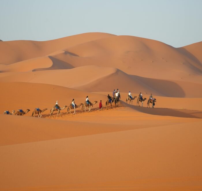 8 Days trip from Tanger to Fez and Sahara