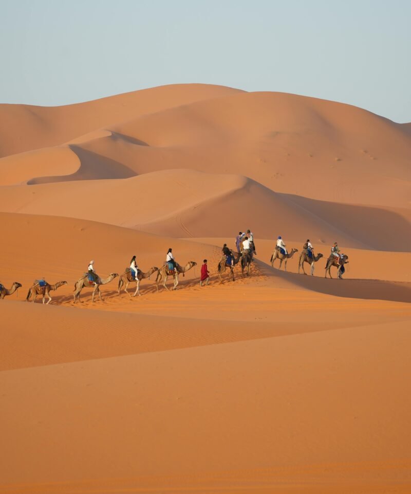 8 Days trip from Tanger to Fez and Sahara